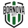 Viven Bornova FK
