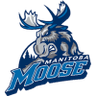 Manitoba Moose