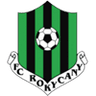 Рокицани
