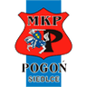 Погонь Седльце