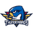 Springfield Thunderbirds