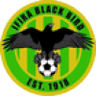 Ifira Black Bird