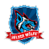 Selber Woelfe