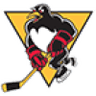 Wilkes-Barre/Scranton Penguins