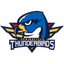 Springfield Thunderbirds