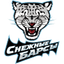 Снежные Барсы