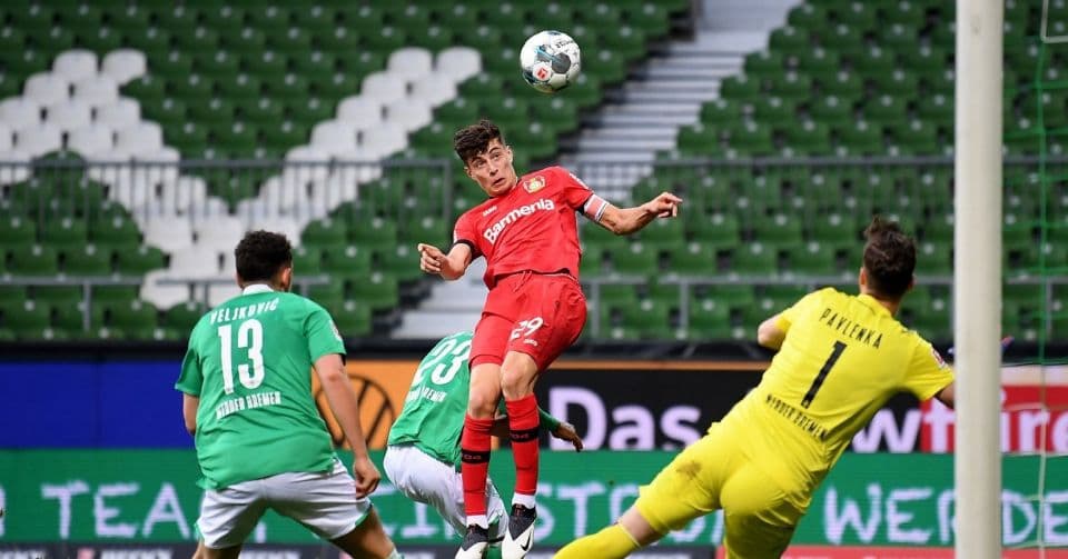 вердер-хоффенхайм