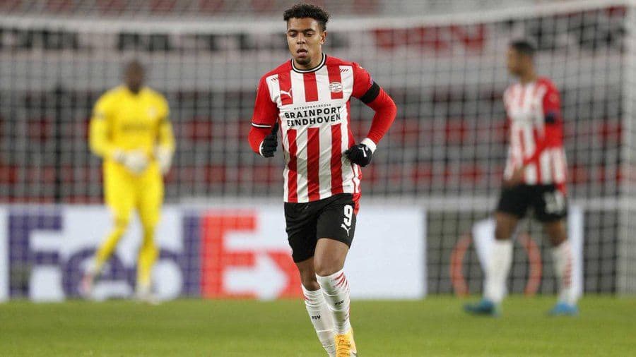 пвс-фейеноорд