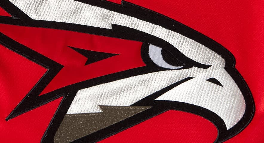 «Авангард»: ждём официальное заключение от врачей по диагнозу Емелина, считаем информацию о трансплантации печени - провокацией