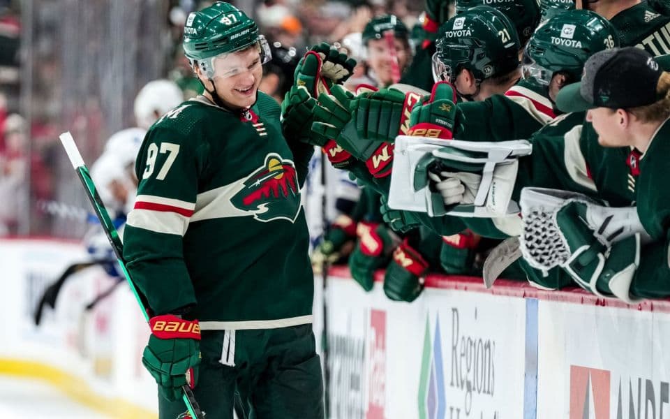 Миннесота - Флорида