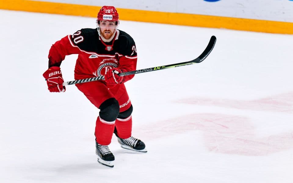 Трактор - Витязь