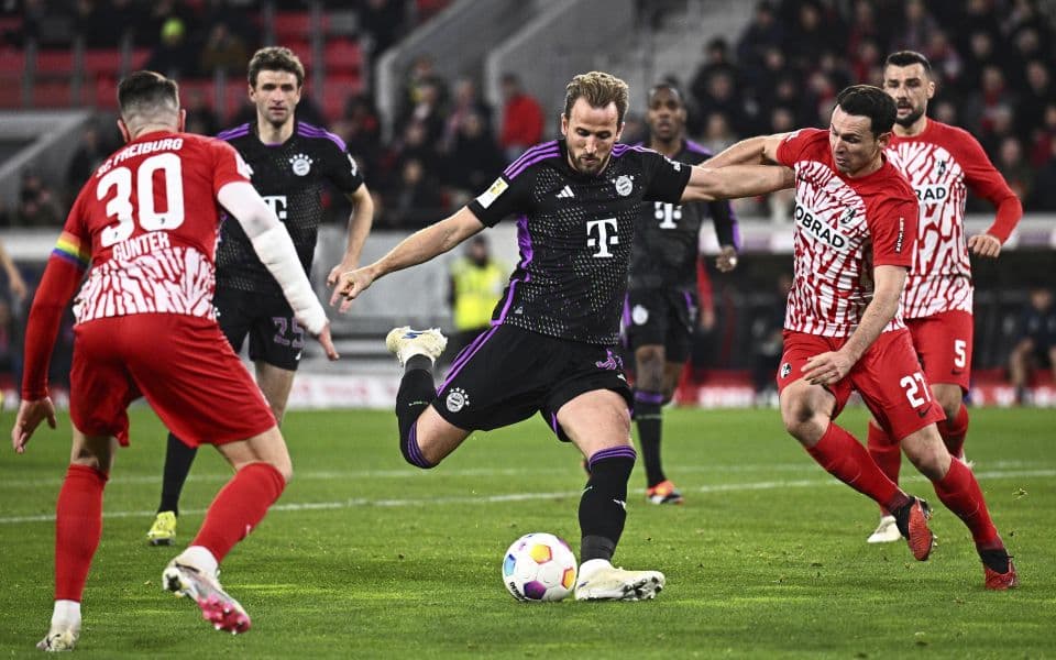 Бавария-Фрайбург