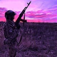 Владислав Гринько