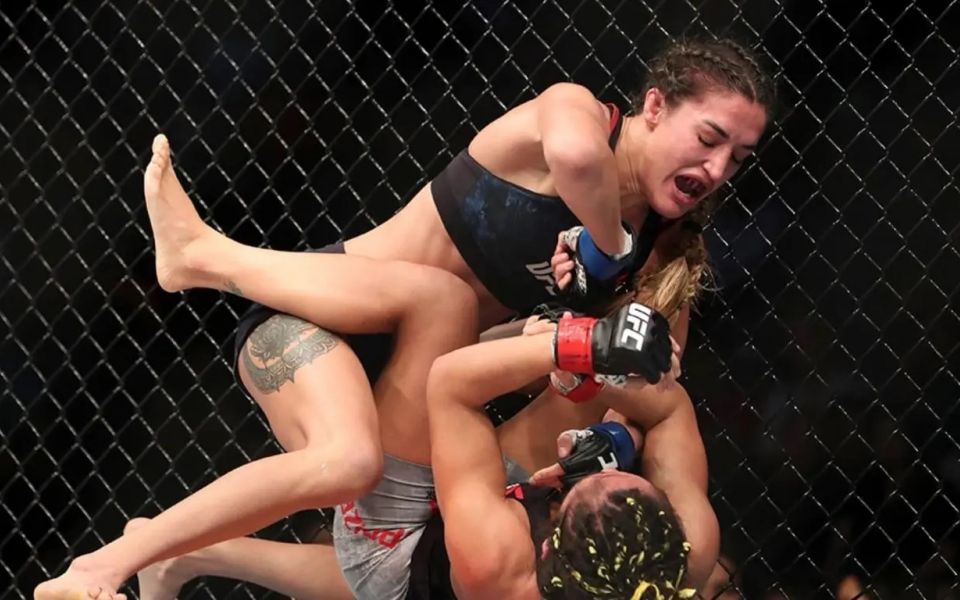 Андрадэ - Суарез