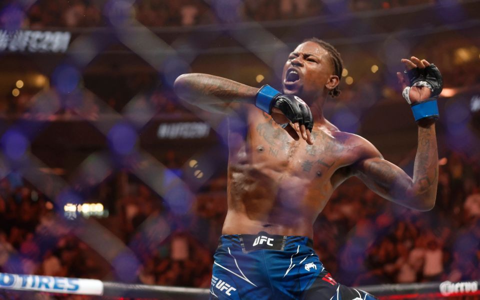 Холлэнд - Олексейчук