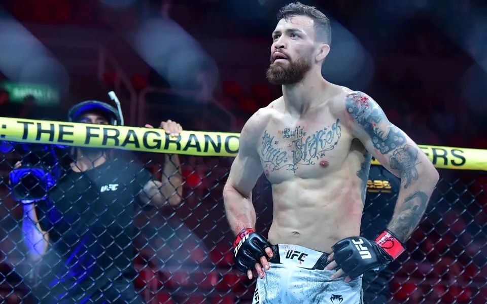 Руффи - Ллонтоп