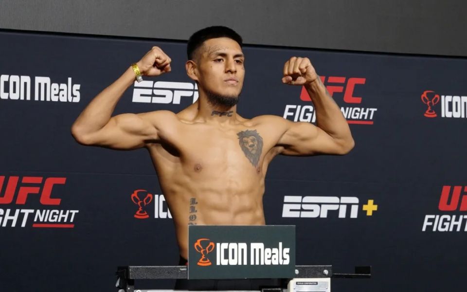 Руффи - Ллонтоп