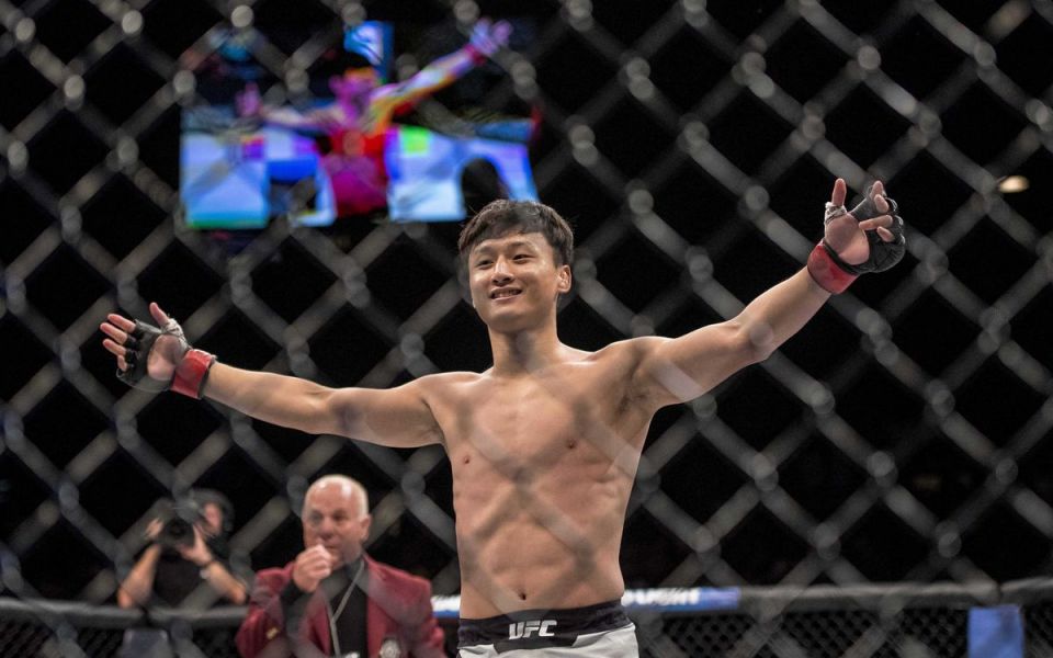 Ландвер - Чой