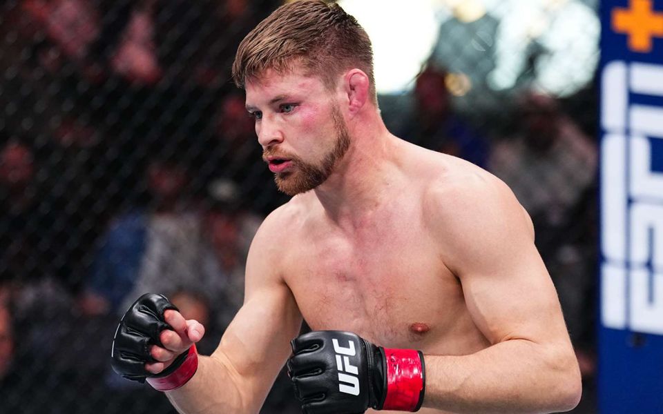 Митчелл - Силва